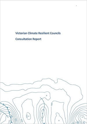 Image of consultation report cover page
